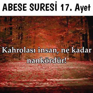 İnsanoğlu nankör müdür? Cevabınız evet ise neden?