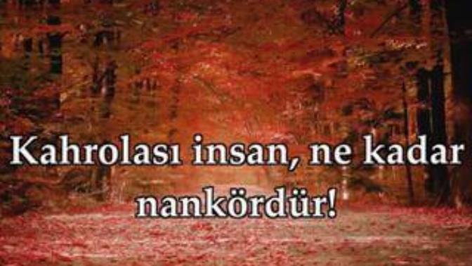 İnsanoğlu nankör müdür? Cevabınız evet ise neden?