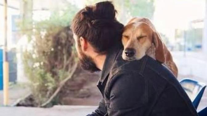 Köpek sevgisi olan erkekler çok şirin değil mi 😇?