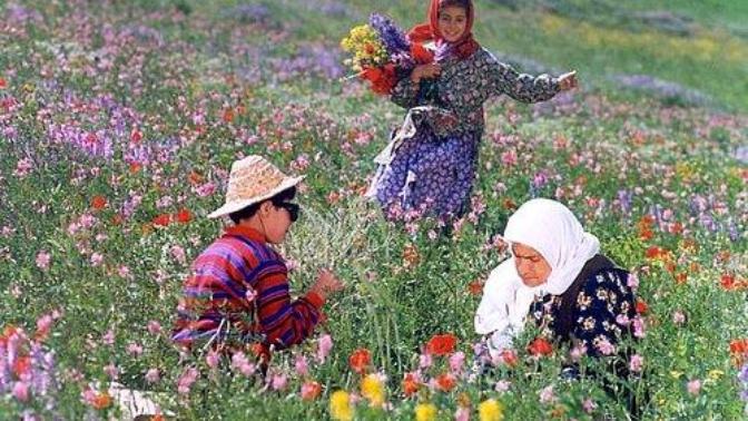 Kızlar, sevdiğiniz adamla köyde yaşar mısınız?