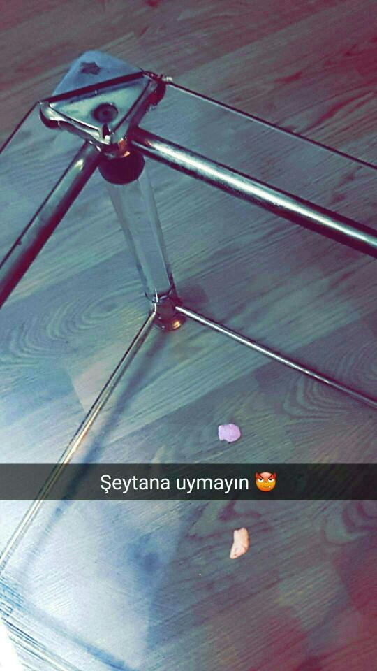 Bir maymun ne demiş??