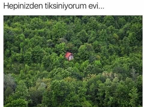 Hepinizden tiksiniyorum (Evi) almak istiyorum ne kadara patlar bana.?