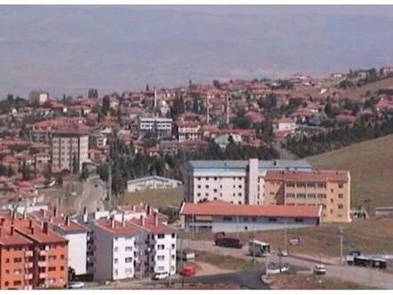 Bala