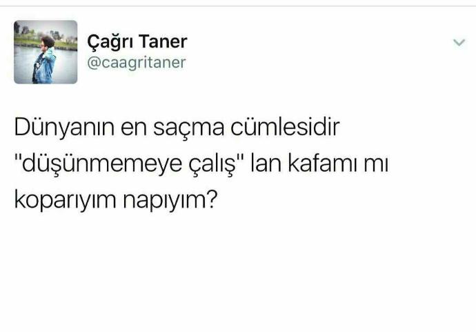 Dünyanın en saçma cümlesi nedir ??