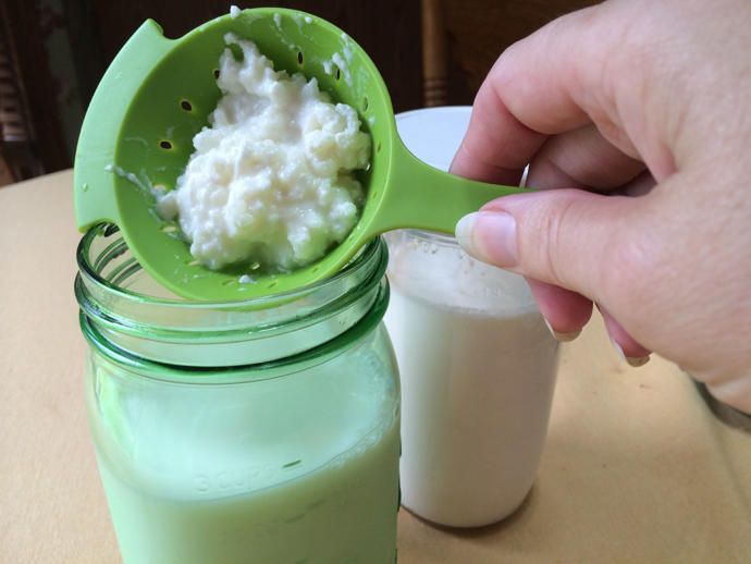 kefir nedir tadı nasıl