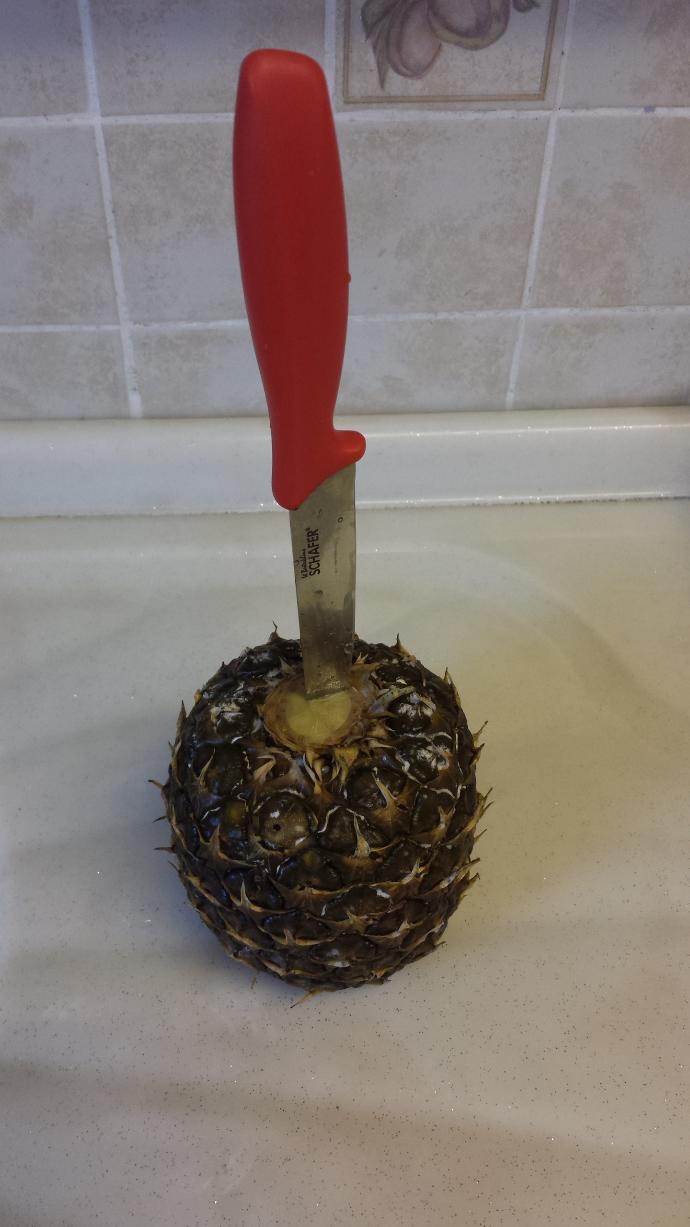 Fakirler, ananas sever misiniz?