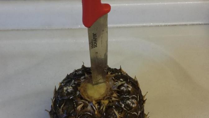 Fakirler, ananas sever misiniz?