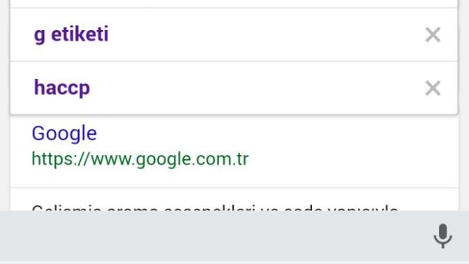 Google arama geçmişinizde neler var?