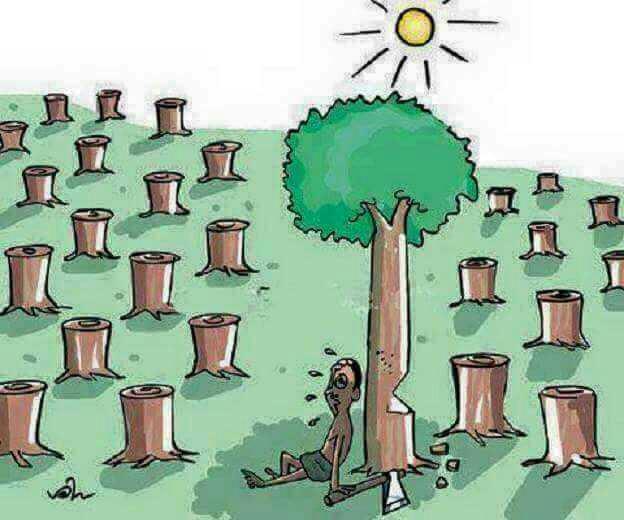 Arkadalslar bu karikatürler size neyi ifade ediyor??