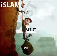 Arkadalslar bu karikatürler size neyi ifade ediyor??