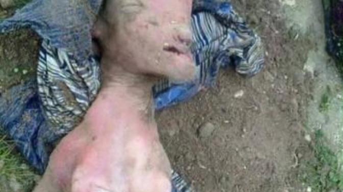 Mardinde tecavüz edilen keçi, yarı keçi yarı insan doğurmuş. Böyle bişey olabilirmi?
