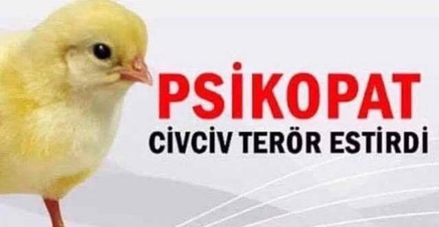 En tehlikeli meslek hangisidir ?