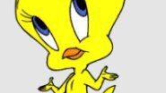 Tweety'nin aslında erkek olduğunu öğrenince ne tepki verdiniz?