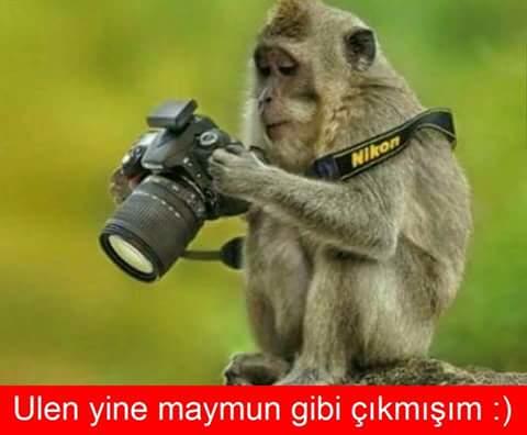 Fotojenik misiniz :) :) :) ?