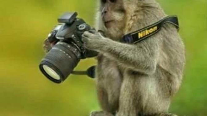 Fotojenik misiniz :) :) :) ?