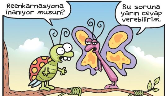 Deist kimseler reenkarnasyona inanırlar mı ?