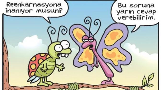 Deist kimseler reenkarnasyona inanırlar mı?