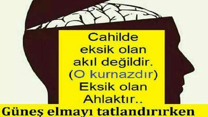 Dahilde eksik olan akıl değil ahlaktır?