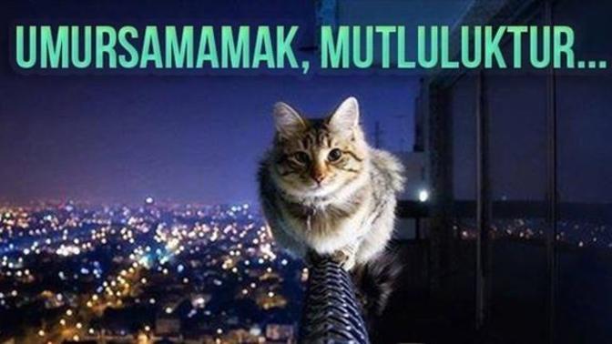 #Umursamaz olmak kötü mü iyi mi sizce :D :D?