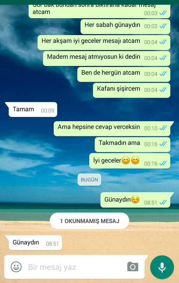 Bir kız hergün böyle mesaj atsa (resimli)?