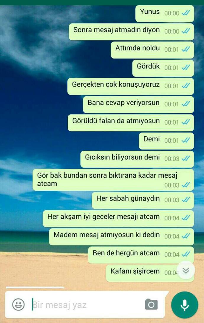 Bir kız hergün böyle mesaj atsa (resimli)?