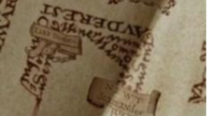 Hogwarts'daki Şahgaga'nın Newt Scamander olabileceği teorisi hakkında ne düşünüyorsunuz?