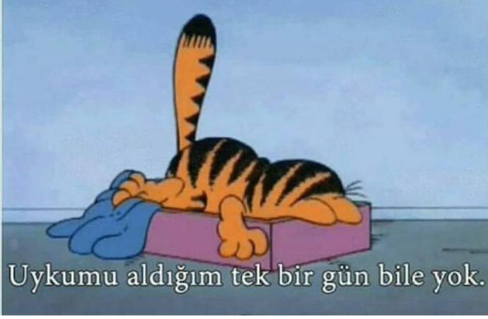Gunaydin mi desem sabah sabah napiyonuz burda mi desem😔💤?
