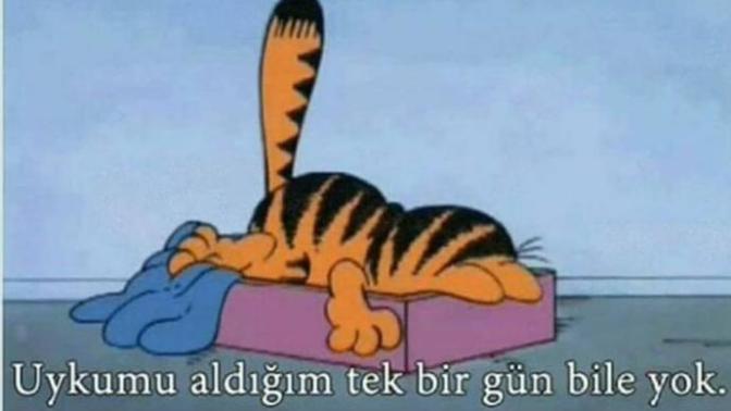Gunaydin mi desem sabah sabah napiyonuz burda mi desem😔💤?