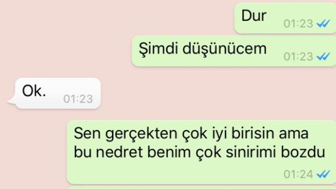 Ayrıldık ne yapıcam? (resimli) ?