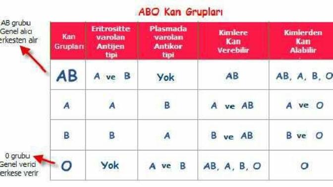 Kan grubu özelliğiniz nedir?