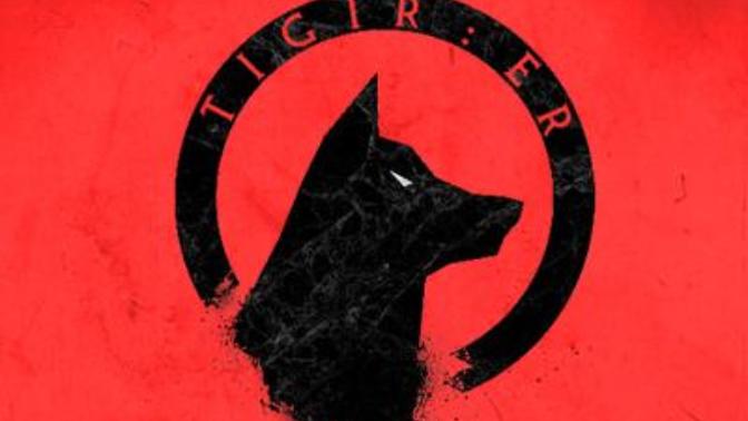 Bu ülke delilerle , gerizekalılarla , ruh hastalarıyla doludur. "Hüseyin nihal ATSIZ" bu söz hakkındaki düşünceleriniz?