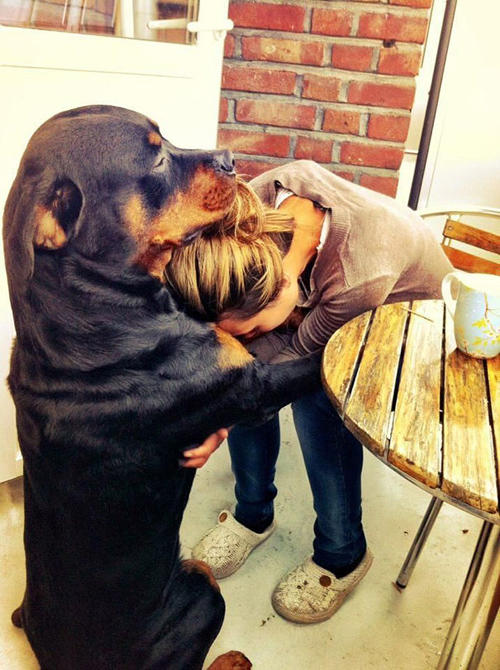 "Köpekler sadık, insanlar değil... " sizce bu söz doğru mu?