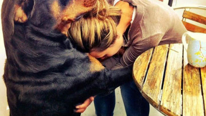 "Köpekler sadık, insanlar değil... " sizce bu söz doğru mu?