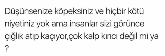 Sizce de çok kalp kırıcı değil mi ya😇?