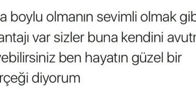 "Kısa boylu kız sevimlidir" düşüncesine katılıyor musunuz?