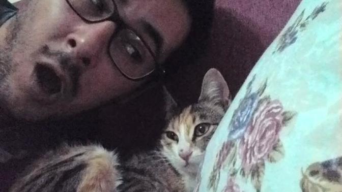 Kedi eti yenir mi?