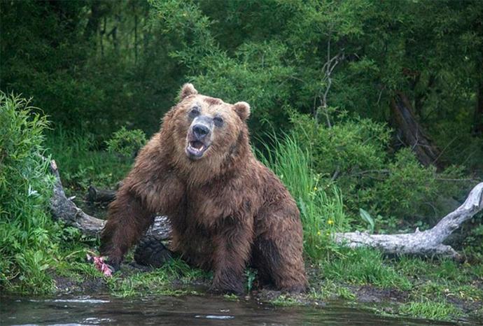 Vahşi doğada 9 ay boyunca yaşam mücadelesi verilecek yarışmada öldürmek, tecavüz ve dövüşmek serbest Ne Düşünüyorsunuz?
