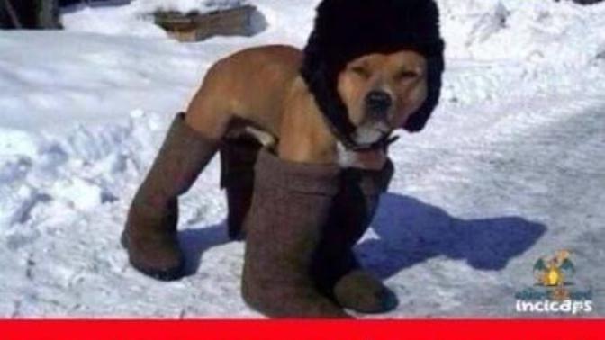 Kısa boylu kızlar uzun çizmeler tercih etmeli mi?