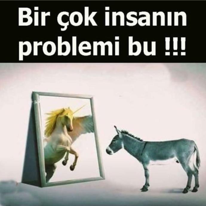Hello🙆😀musmutlu pazarlar ..🌻🌸🏝 Bir çok insanın problemi bu🤔 ⤵👇sizcede öyle değil mi?