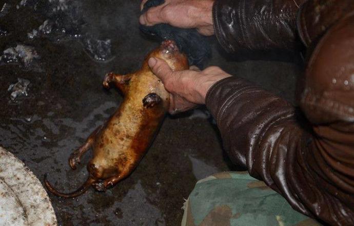 Fare eti Türk restaurantlarındaki menülerde yerini alır mı? Almalı mı sizce?
