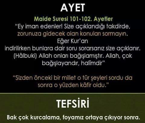 Yüce kuranı kerimdeki bu ayet hakkında ne düşünüyorsunuz?