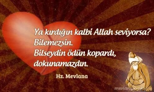Hiç isteyerek ya da istemeyerek kalp kırdınız mı?