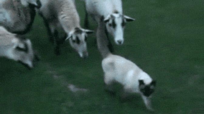 Sizi gizliden izleyen, takip eden, stalklayan birini fark etseniz ne düşünürsünüz?