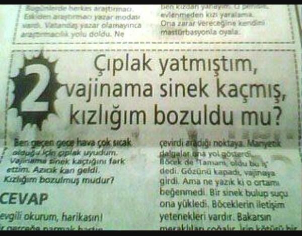 En mal soru hangisi?