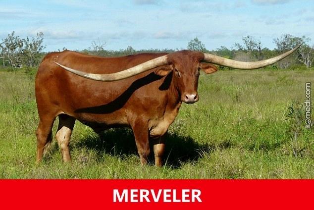 Merve ismi neden bu kadar klasik?