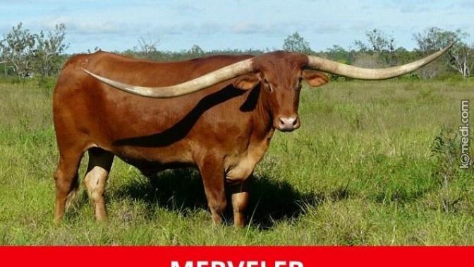 Merve ismi neden bu kadar klasik?
