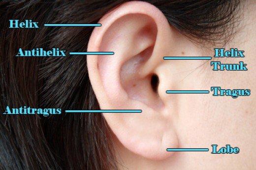Arkadaşlar tragus piercing hakkinda ne dusunuyorsunuz? Sizce güzelmi? Detaya gel? 