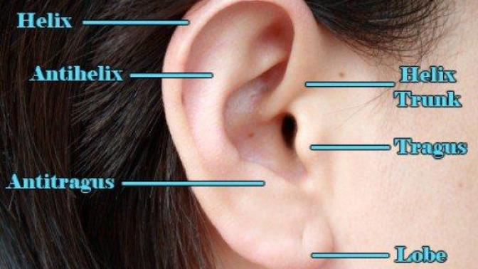 Arkadaşlar tragus piercing hakkinda ne dusunuyorsunuz? Sizce güzelmi? Detaya gel?