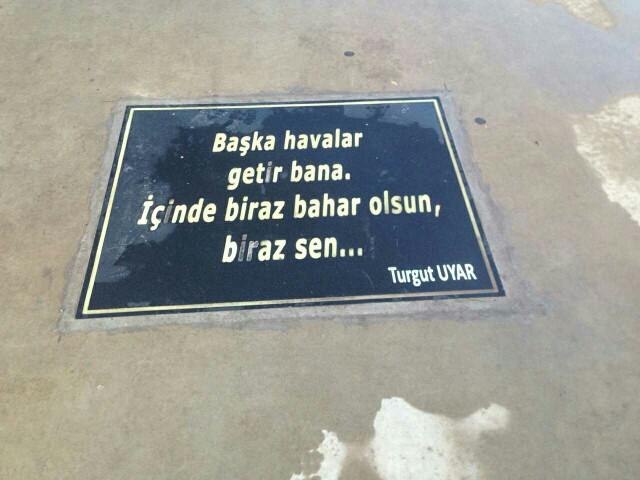 Yalova 'da ki Şiir Yolu hakkında ne düşünüyorsunuz??