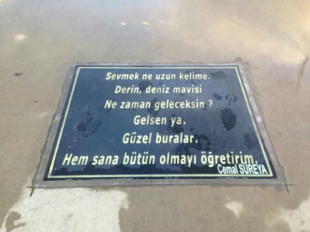 Yalova 'da ki Şiir Yolu hakkında ne düşünüyorsunuz??